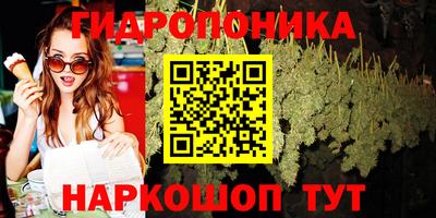 прущие грибы Гай