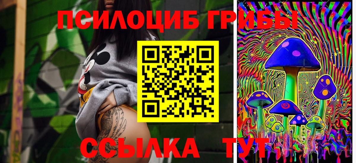 купить наркотик  Вход с VPN  Орехово-Зуево  Псилоцибиновые грибы мухоморы 